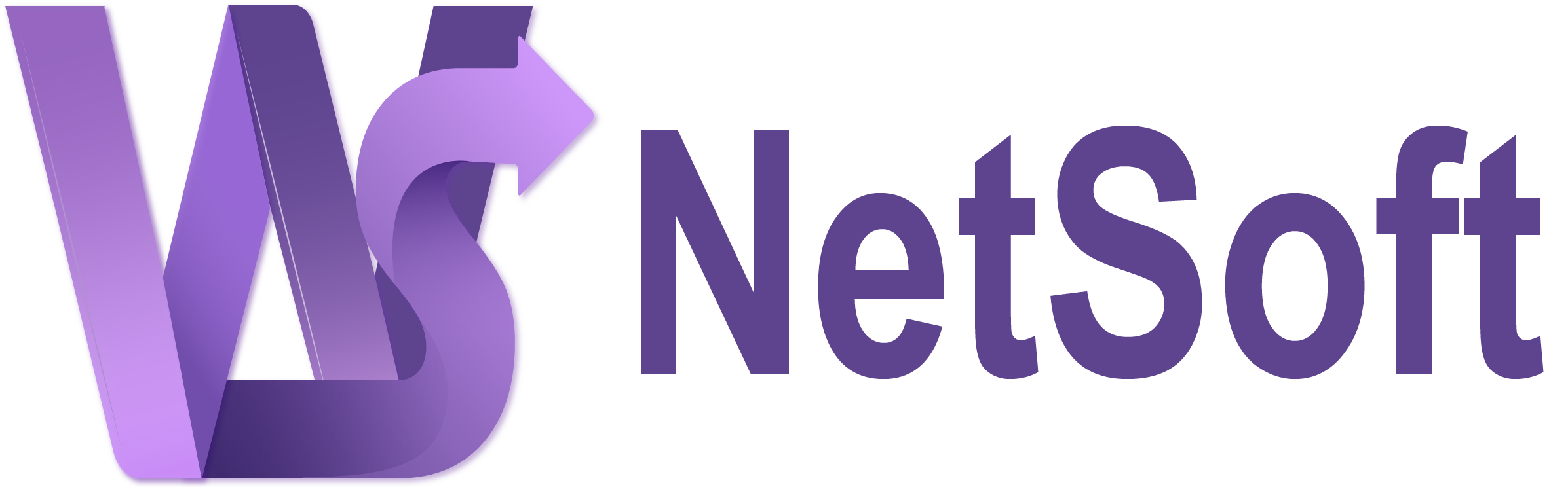 WS NetSoft 2025